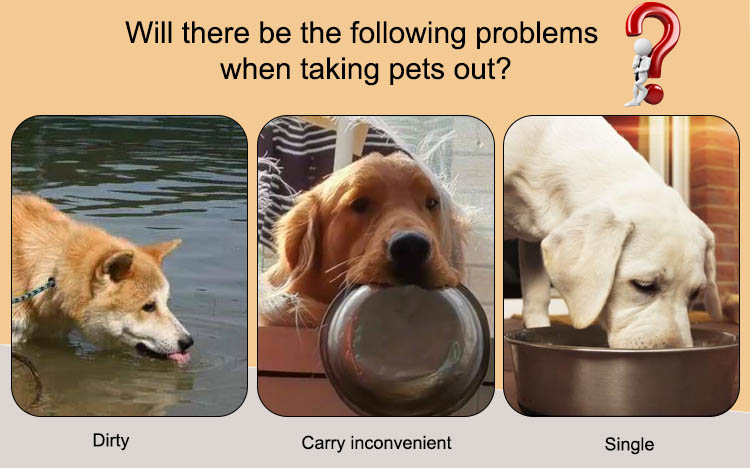 pet bowl